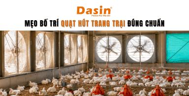 Mẹo Bố Trí Quạt Hút Trang Trại Đúng Chuẩn